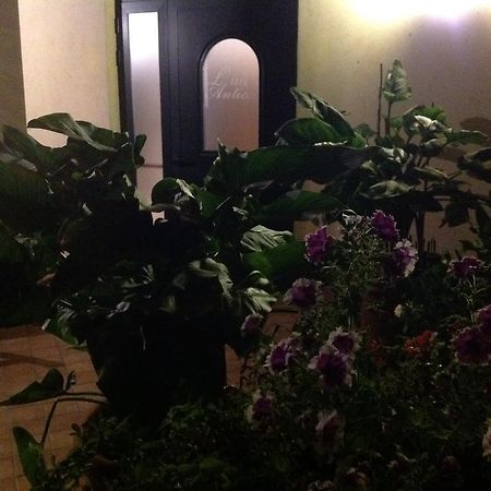 L' Aia Antica Bed and Breakfast Veroli Eksteriør billede